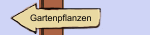 Gartenpflanzen
